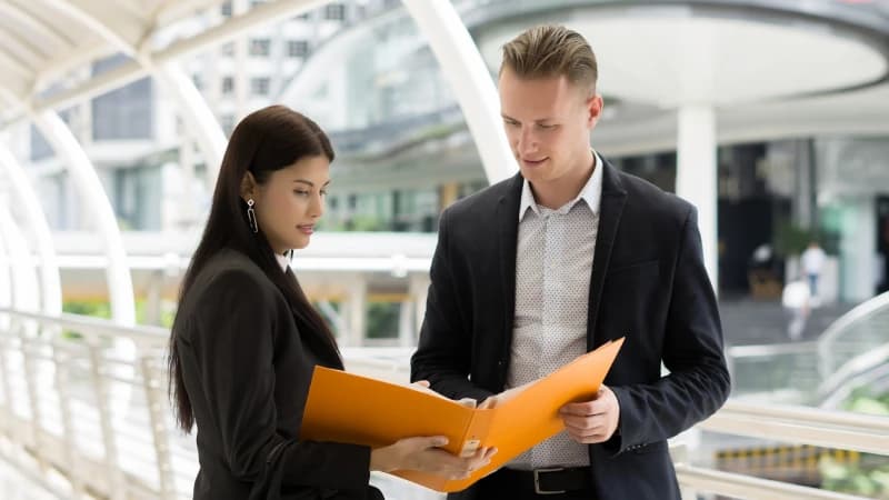 Professional License in Dubai & UAE Professional License in Dubai & UAE
